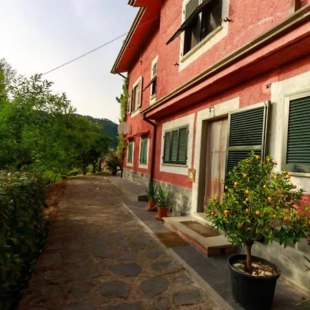 Lejlighedshotel Gipsy Rose