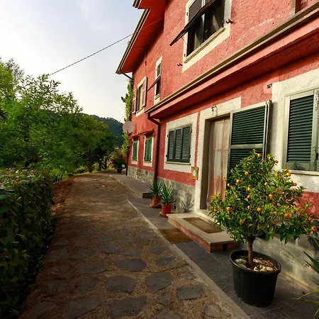 Lejlighedshotel Gipsy Rose